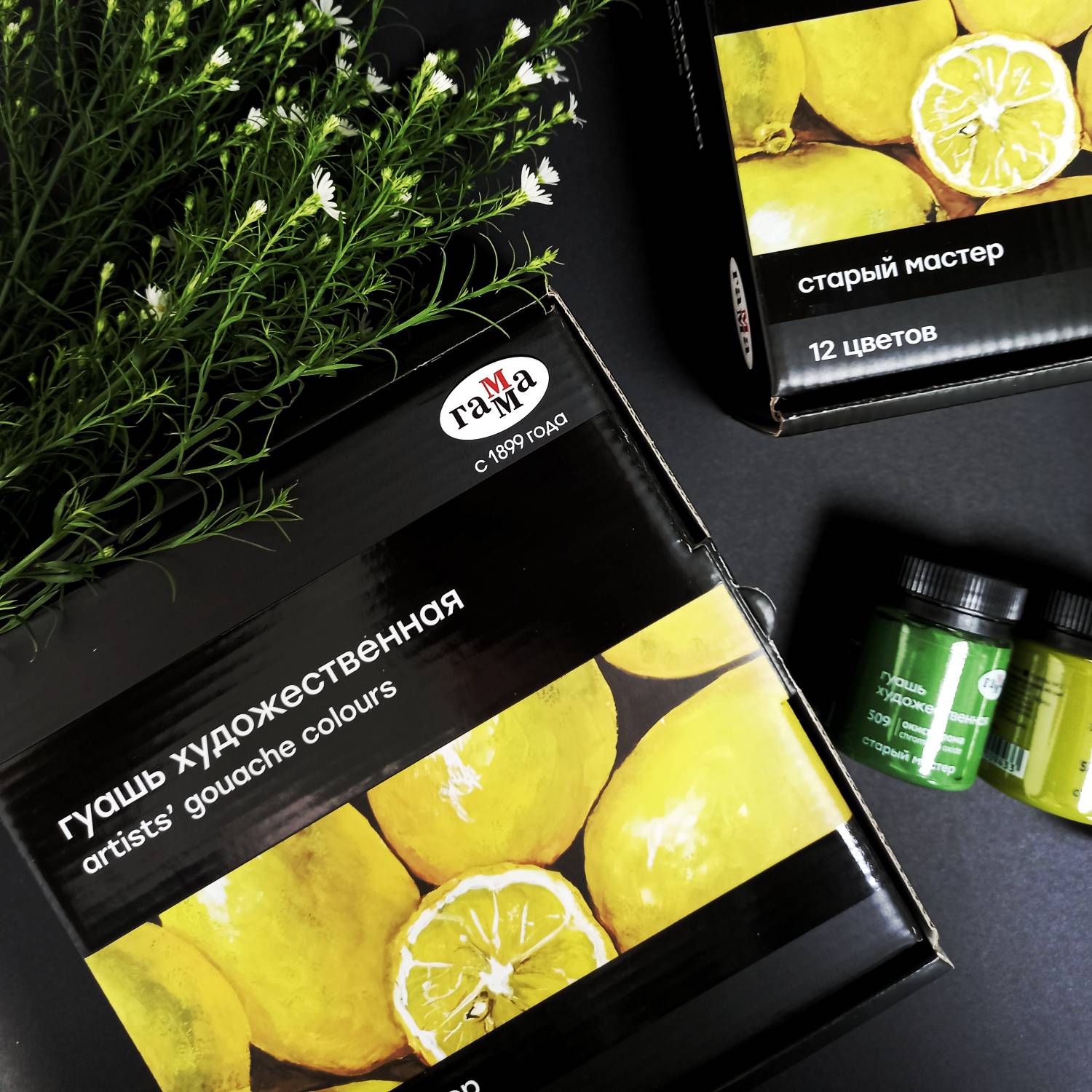 Набор гуаши